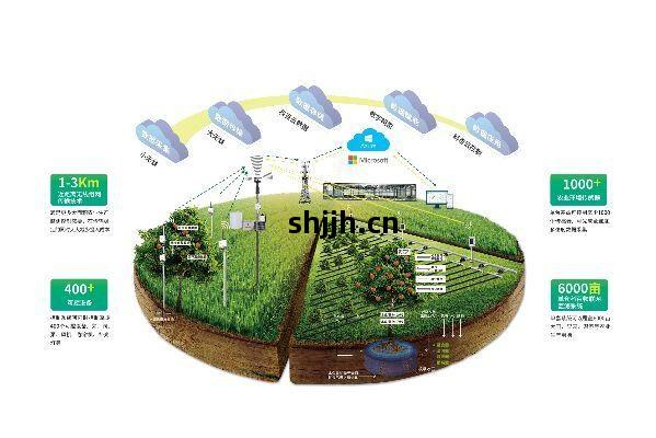 獨家專(zhuan)訪(fang)|科百科技(ji)副(fu)總(zong)裁(cai)劉楓 農(nong)業(ye)物(wu)聯網(wang)的(de)破(po)與立與物聯網(wang)技(ji)術研發